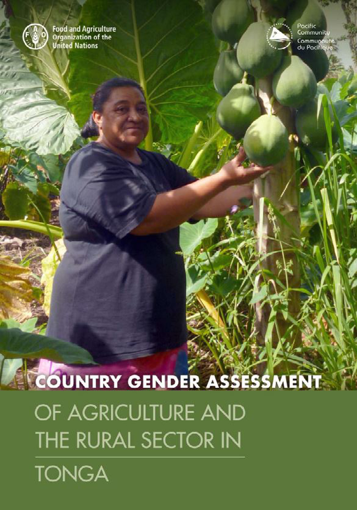 Country Gender Assessment of Agriculture and the rural sector in Tonga