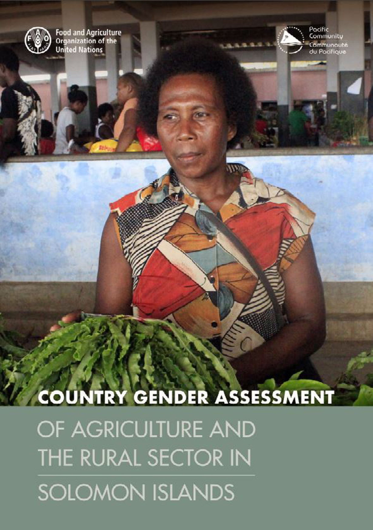 Country Gender Assessment of Agriculture and the Rural Sector in Solomon Islands