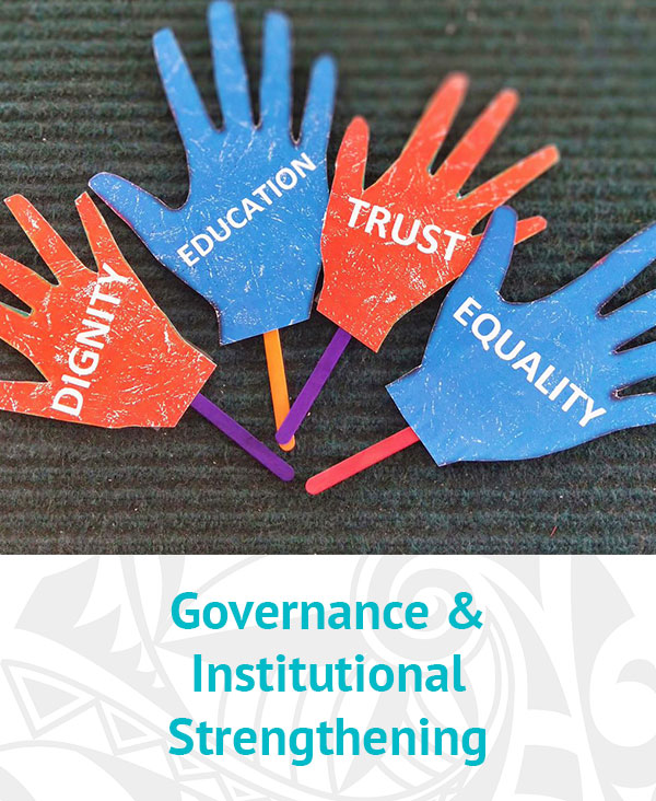 Objective 1: Governance and institutional strengthening 