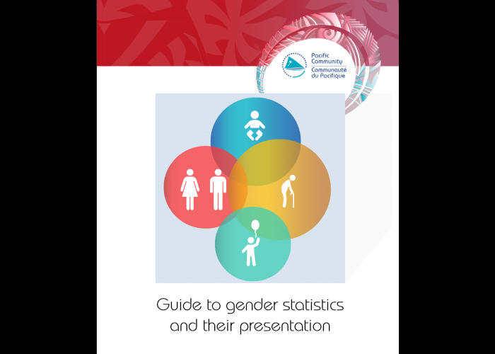 Guide to gender statistics and their presentation