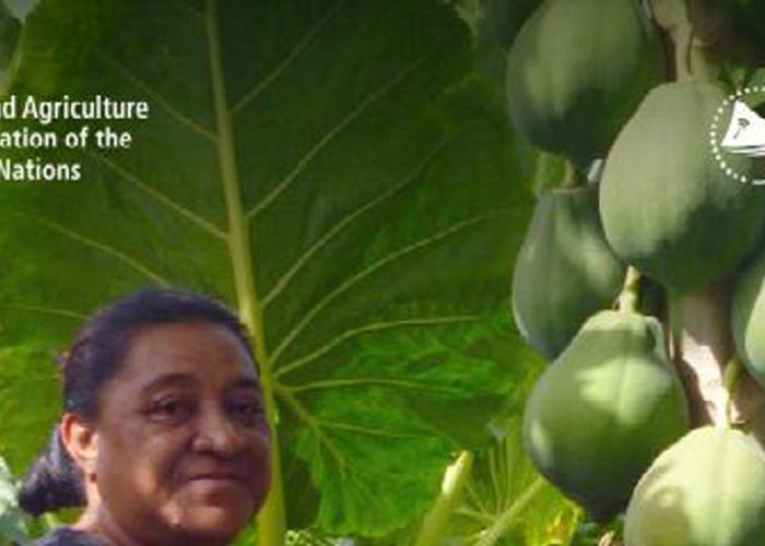 Country Gender Assessment of Agriculture and the rural sector in Tonga